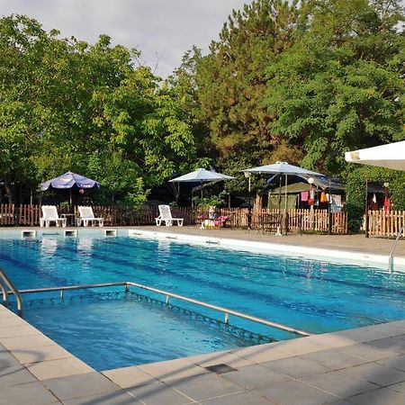 Camping Mitikas And Bungalows Plaka Litochorou Zewnętrze zdjęcie