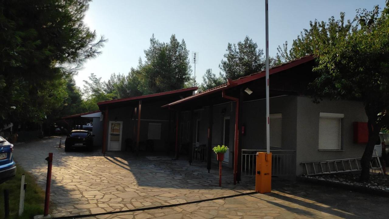 Camping Mitikas And Bungalows Plaka Litochorou Zewnętrze zdjęcie