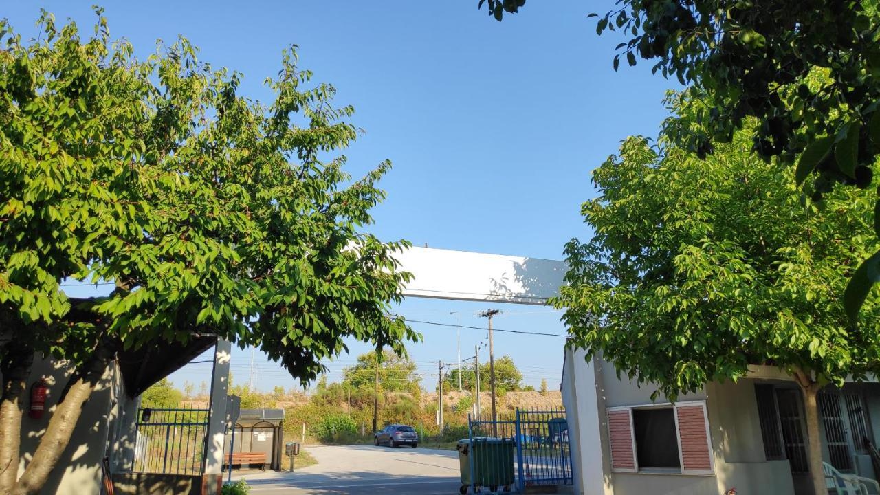 Camping Mitikas And Bungalows Plaka Litochorou Zewnętrze zdjęcie
